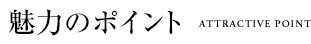 魅力のポイント